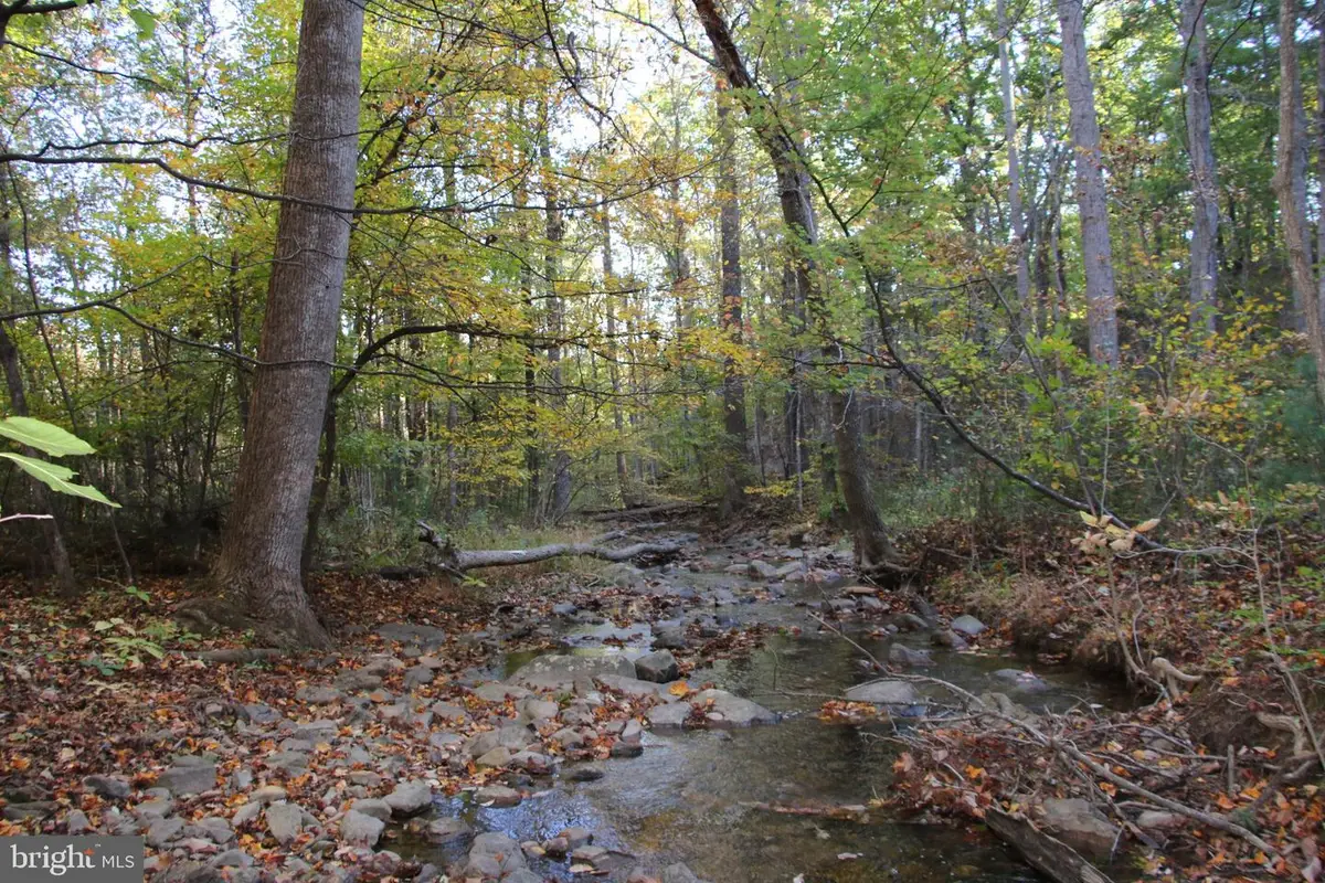 Wardensville Grade, Star Tannery, VA 22654 - #1