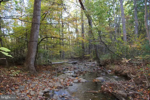 Wardensville Grade, STAR TANNERY, VA 22654