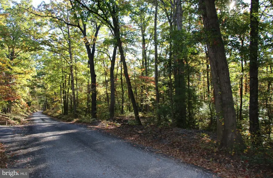 Wardensville Grade, Star Tannery, VA 22654 - #2