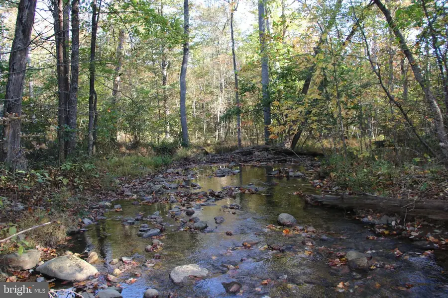 Wardensville Grade, Star Tannery, VA 22654 - #3