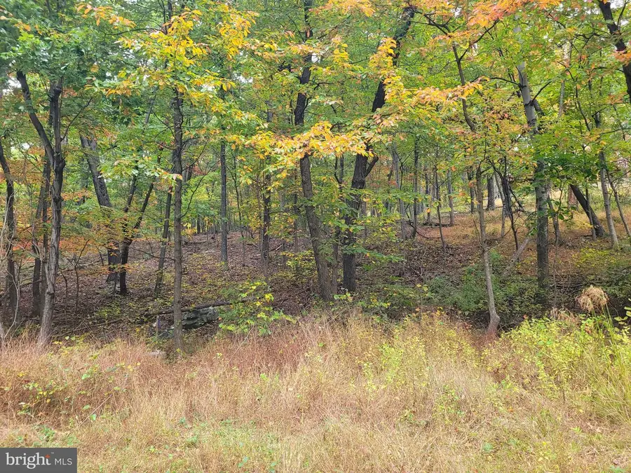 Lot 165 Hawk Trl, Winchester, VA 22602 - #2