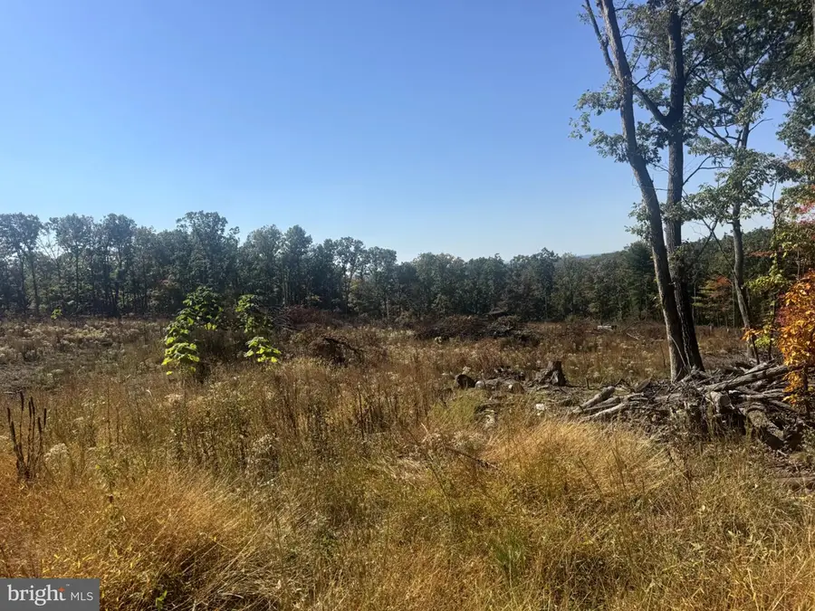 Scuttlebutt Rd, Winchester, VA 22603 - #3