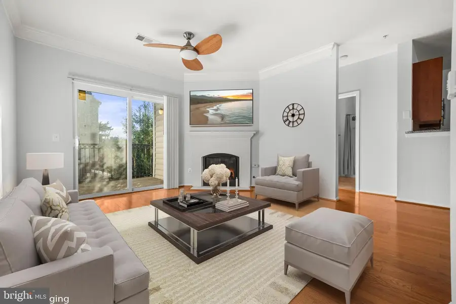 1570 Spring Gate Dr #7213, McLean, VA 22102 - Image #3