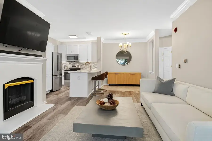 1580 Spring Gate Dr #4204, McLean, VA 22102 - Image #2