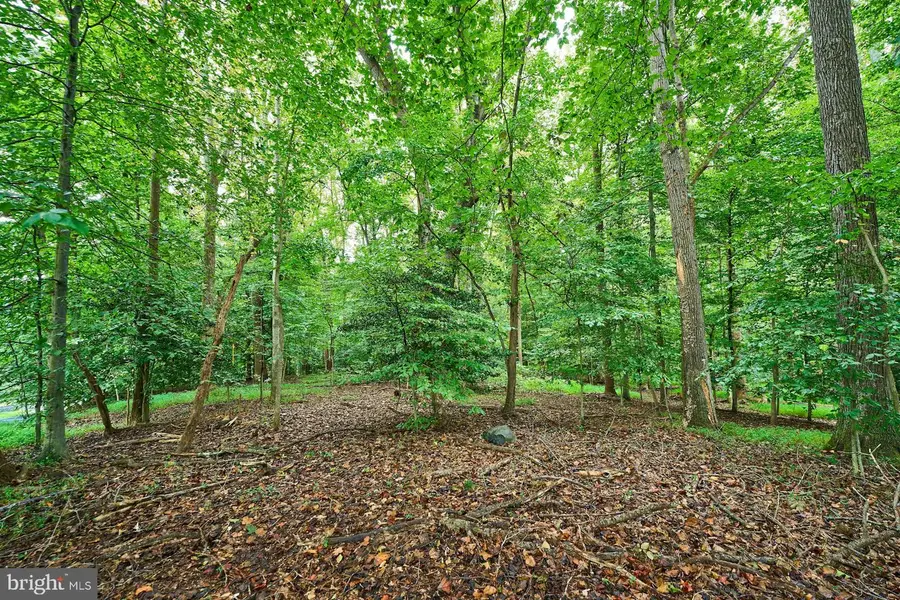 9113 Jeffery Rd, Great Falls, VA 22066 - Image #2