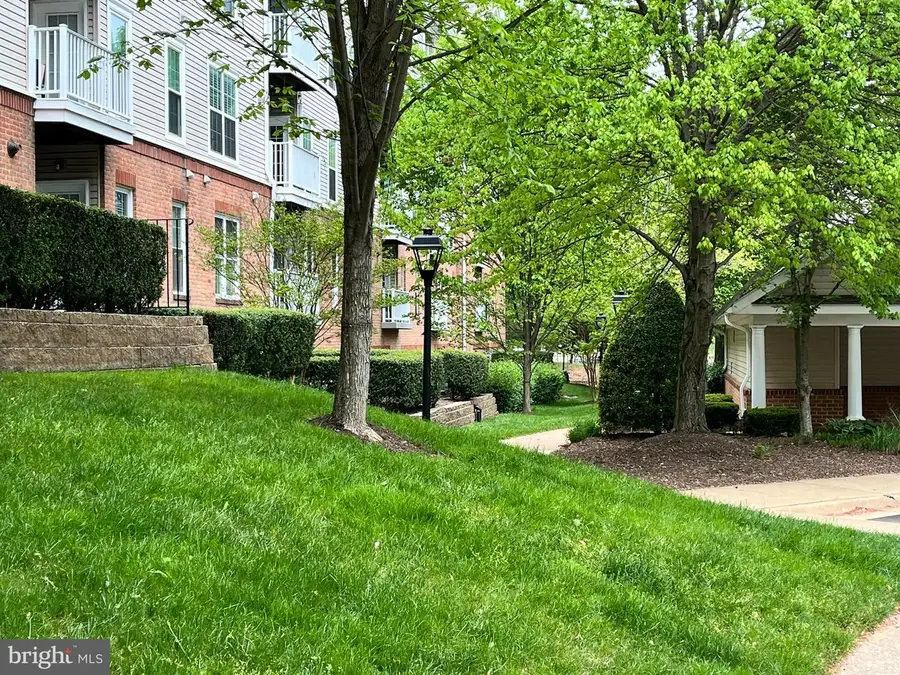 6990 Falls Reach Dr #313, Falls Church, VA 22043 - Image #3