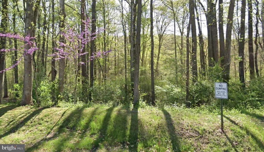 10505 Greene Dr, Lorton, VA 22079 - Image #1