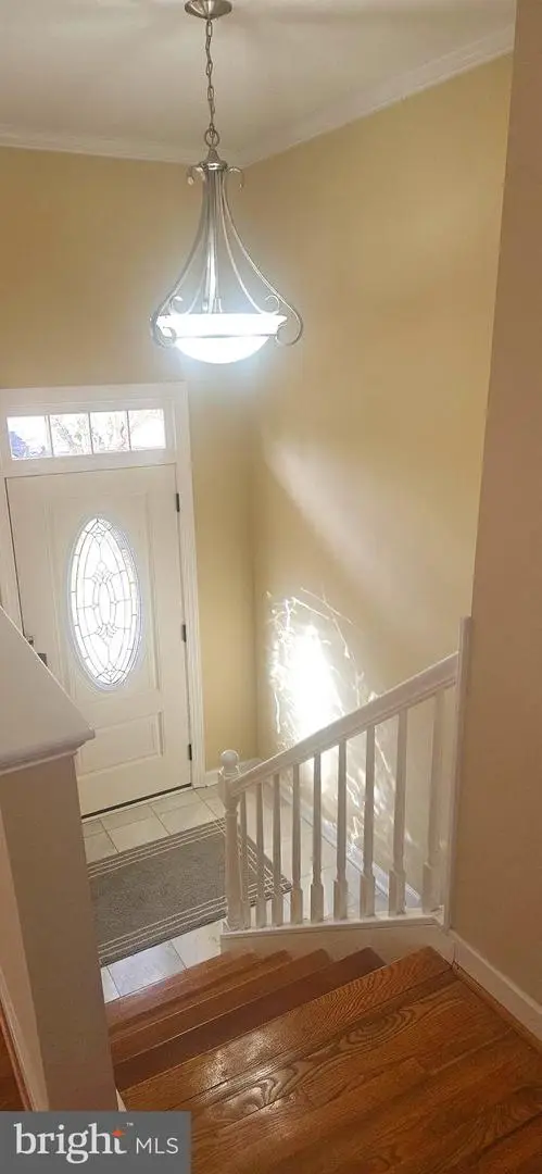 8001 Hammond St, Alexandria, VA 22309 - Image #2