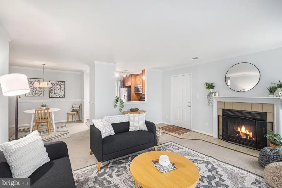 4561-f Interlachen Ct #f, Alexandria, VA 22312 - Image #3