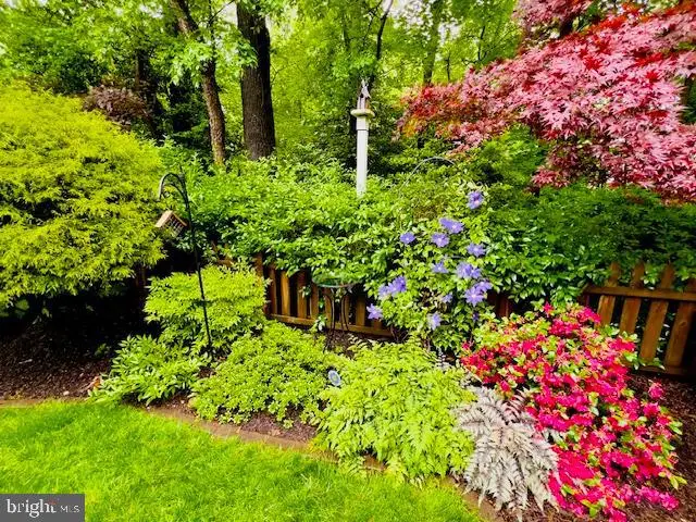 5818 New England Woods Dr, Burke, VA 22015 - #2