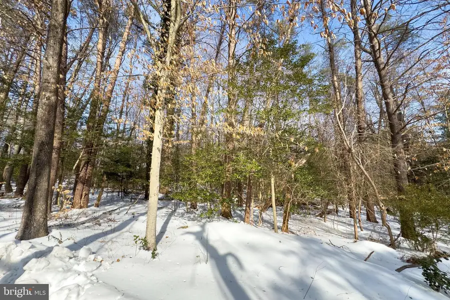 11529 Popes Head Rd, Fairfax, VA 22030 - Image #2