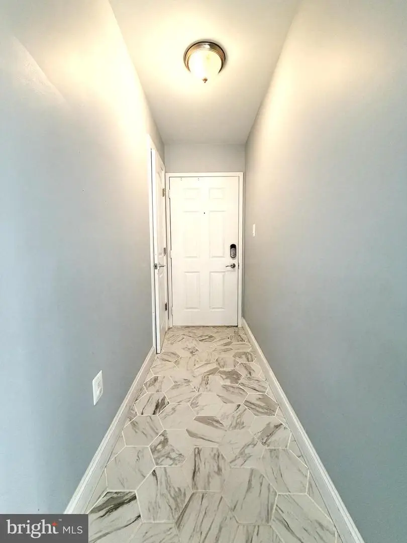 10206-c Willow Mist Ct #55, Oakton, VA 22124 - Image #3