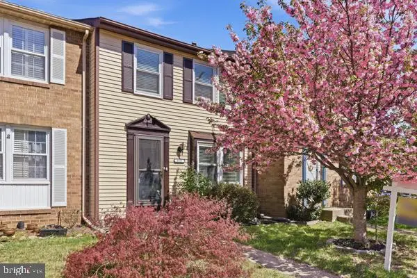5331 Larochelle Ct, Alexandria, VA 22315 - #3