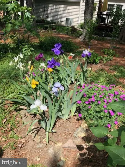 6125 Sandstone Ct, Clifton, VA 20124 - Image #2