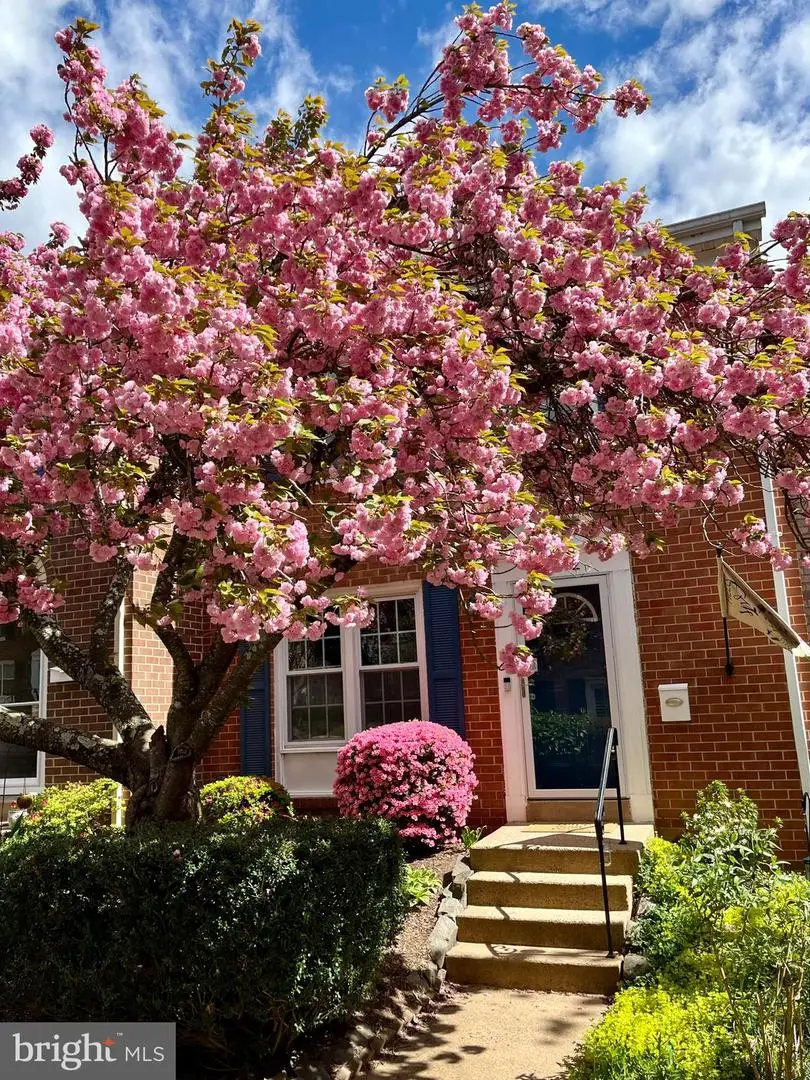 11872 Saint Trinians Ct, Reston, VA 20191 - Image #2