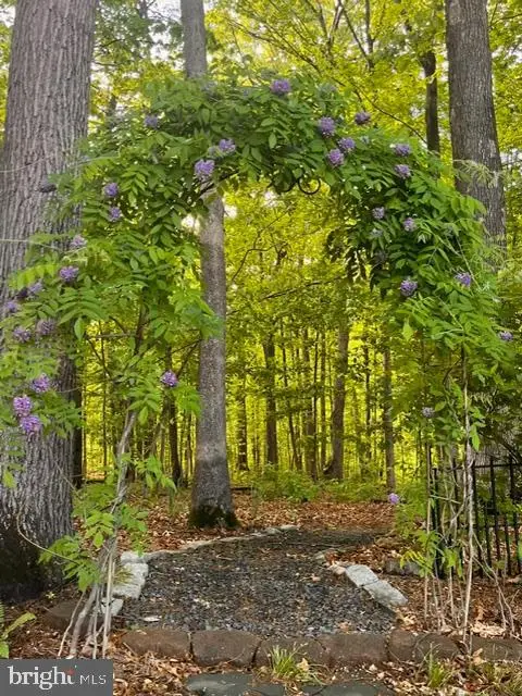 12524 Philmont Dr, Herndon, VA 20170 - #2