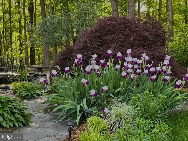 12524 Philmont Dr, Herndon, VA 20170 - #3