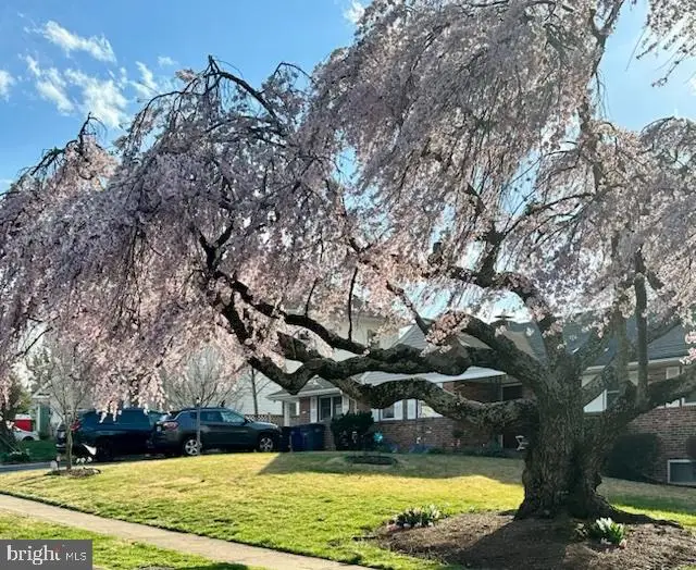 6526 Dryden Dr, McLean, VA 22101 - Image #2