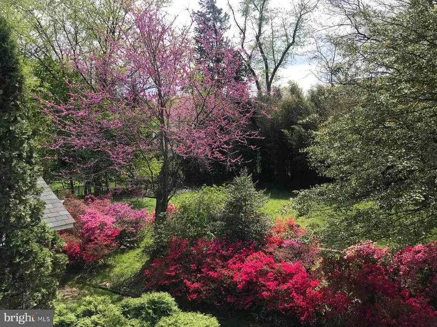 6429 Divine St, McLean, VA 22101 - #3