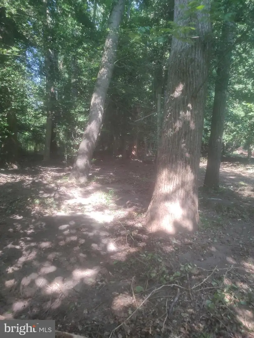 5940 Barberry Trl, Lorton, VA 22079 - #3