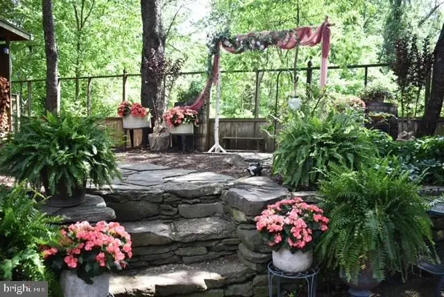 6247 Gentle Ln, Alexandria, VA 22310 - #2