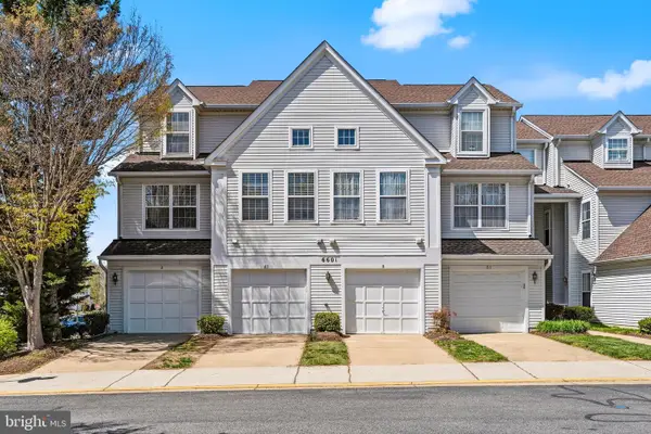 6601 Netties Ln #1811, ALEXANDRIA, VA 22315