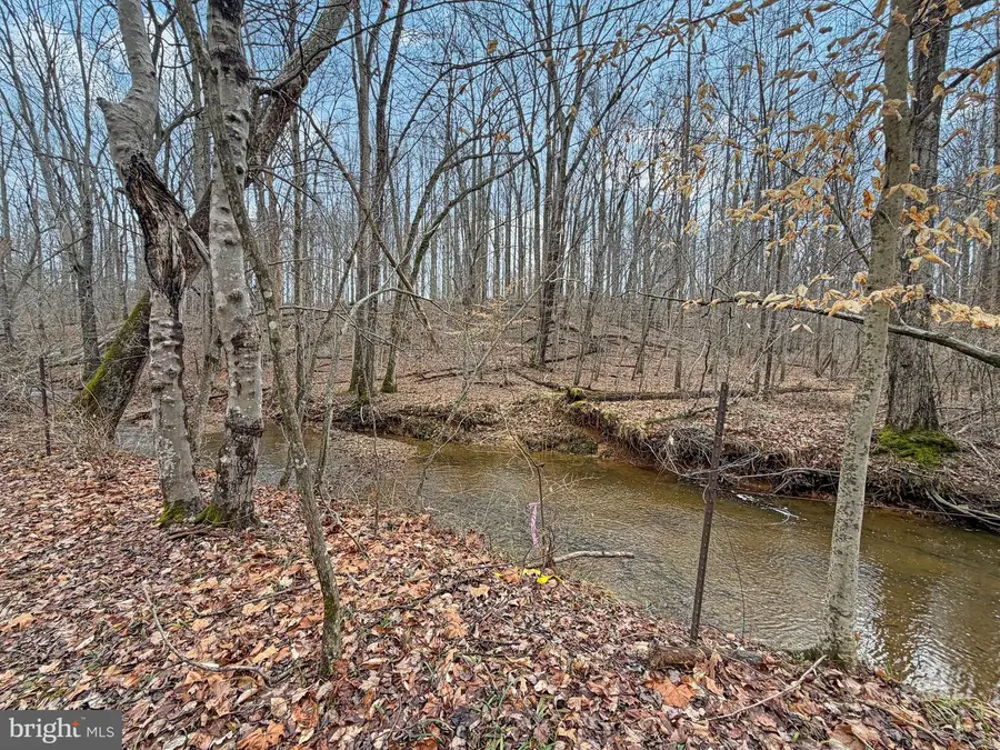 7017-a Union Mill Rd, Clifton, VA 20124 - #2