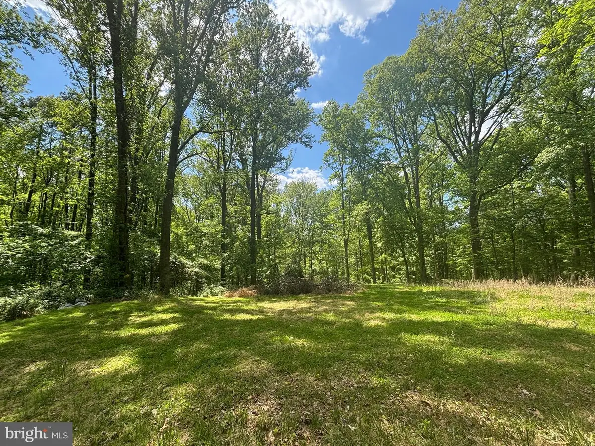 1026 Towlston Rd, McLean, VA 22102 - #1