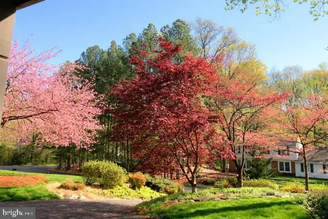 5006 Pheasant Ridge Rd, Fairfax, VA 22030 - #3