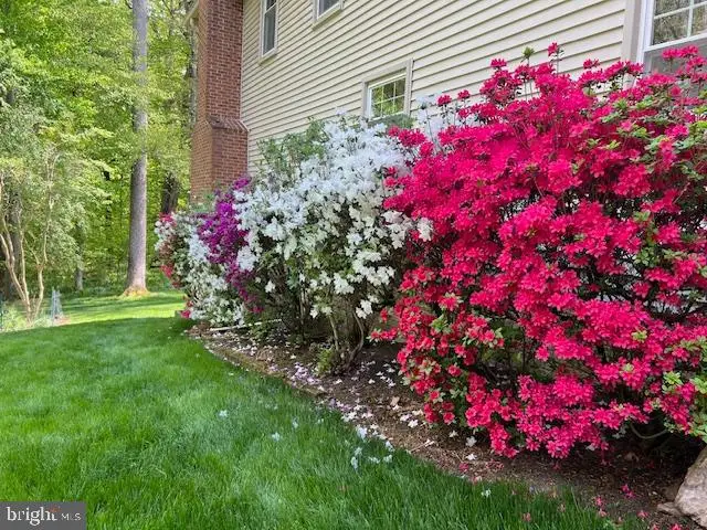 7710 Wilbur Ct, Springfield, VA 22153 - #3