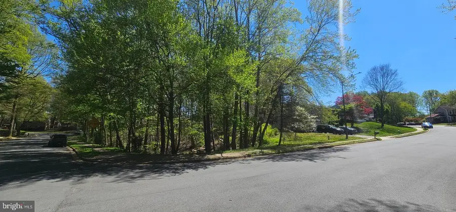 Dryburgh, Springfield, VA 22152 - #3