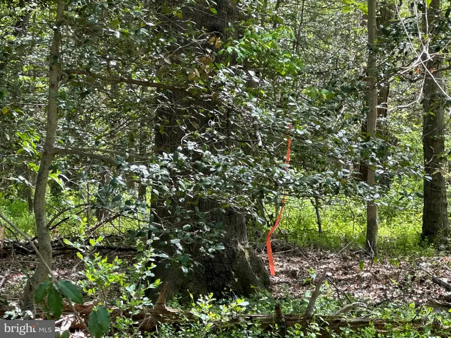 6001 Evergreen Trl, Lorton, VA 22079 - #3