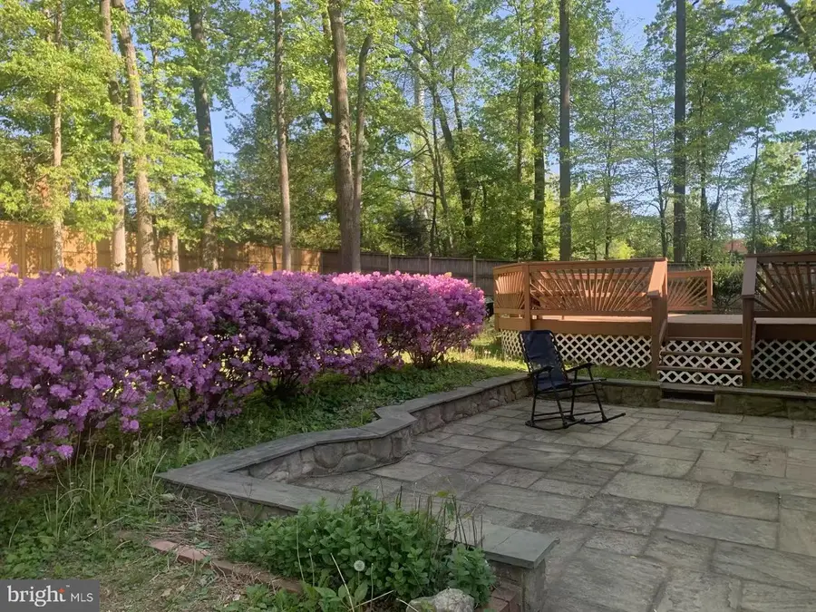 6209 Fernleigh Blvd, Springfield, VA 22152 - #2