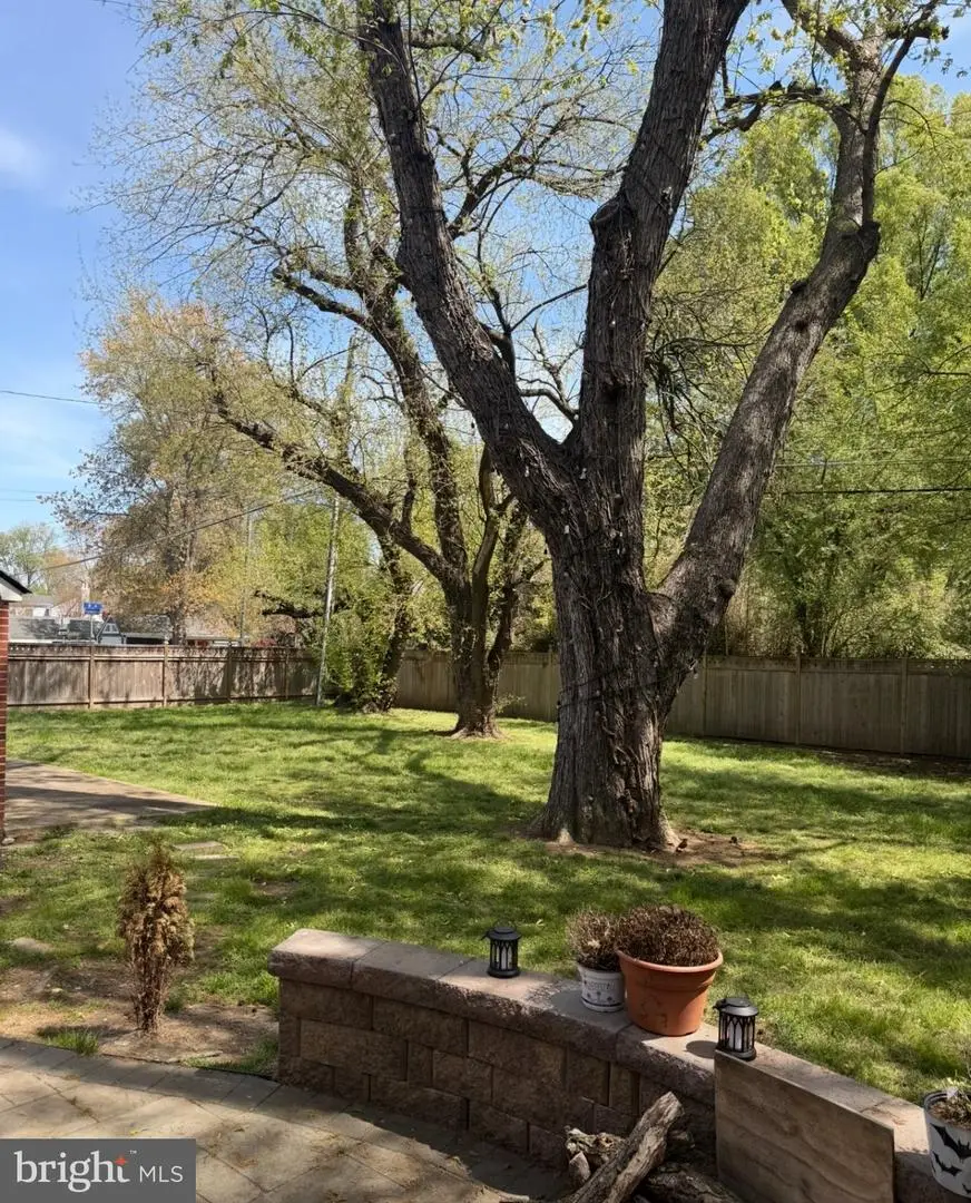 6413 15th St, Alexandria, VA 22307 - #3