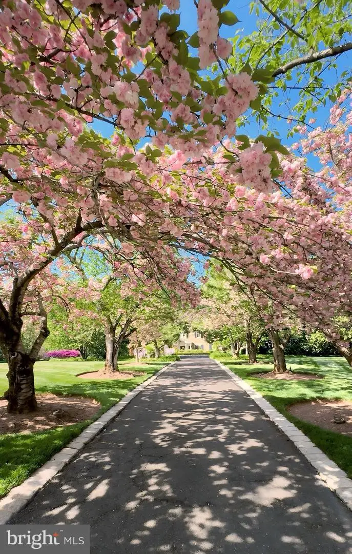 1288 Ballantrae Farm Dr, McLean, VA 22101 - #2