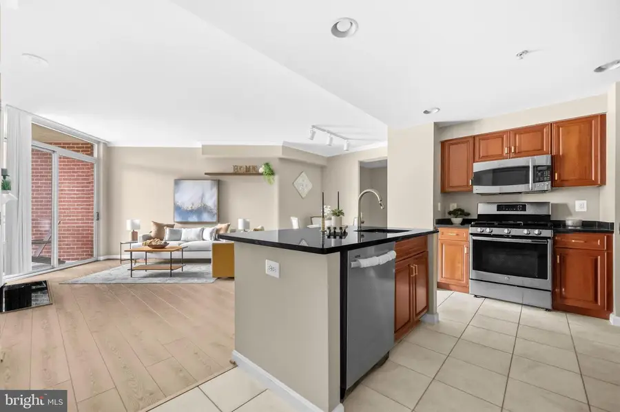 4490 Market Commons Dr #413, Fairfax, VA 22033 - #3