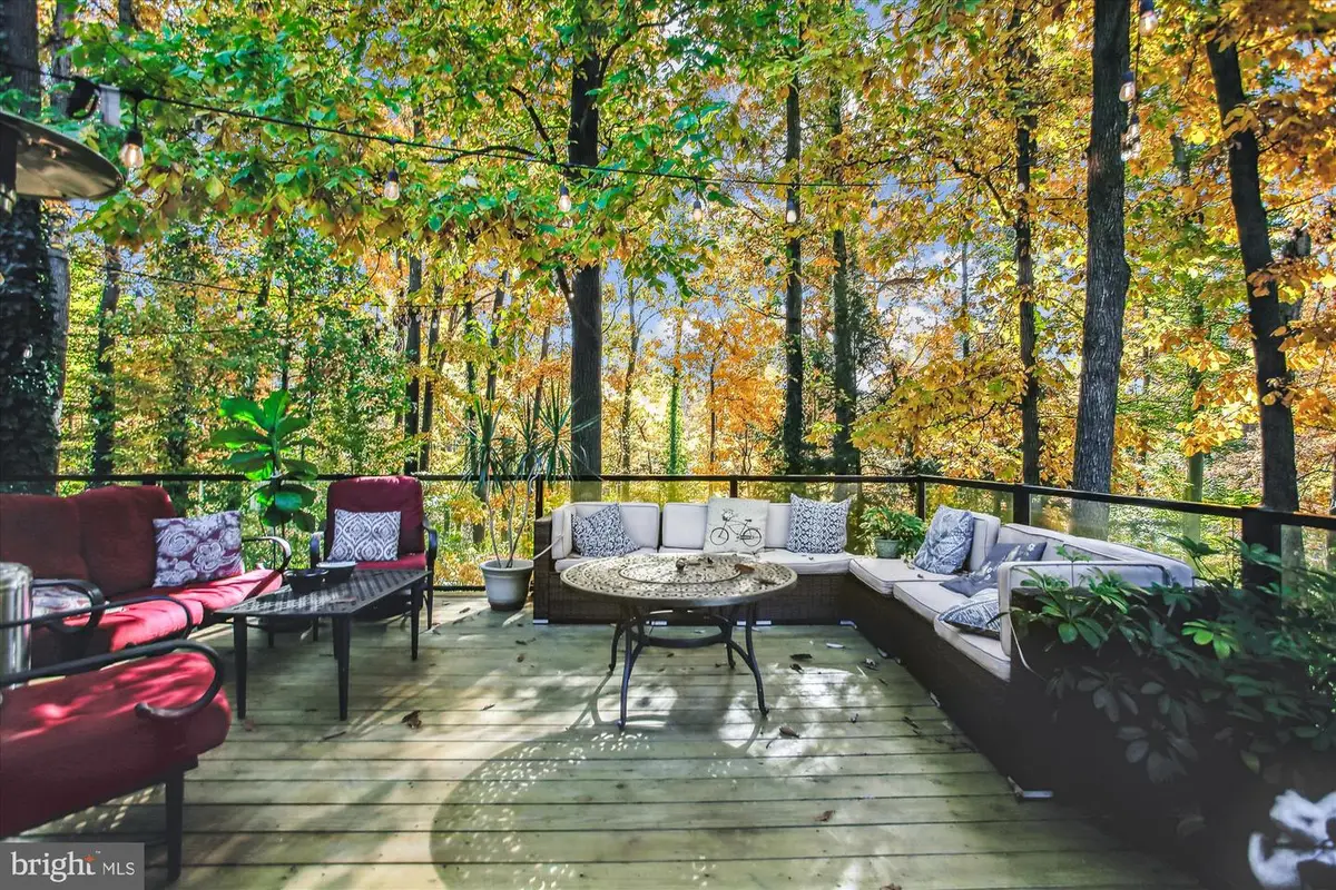 4207 Adrienne Dr, Alexandria, VA 22309 - #1