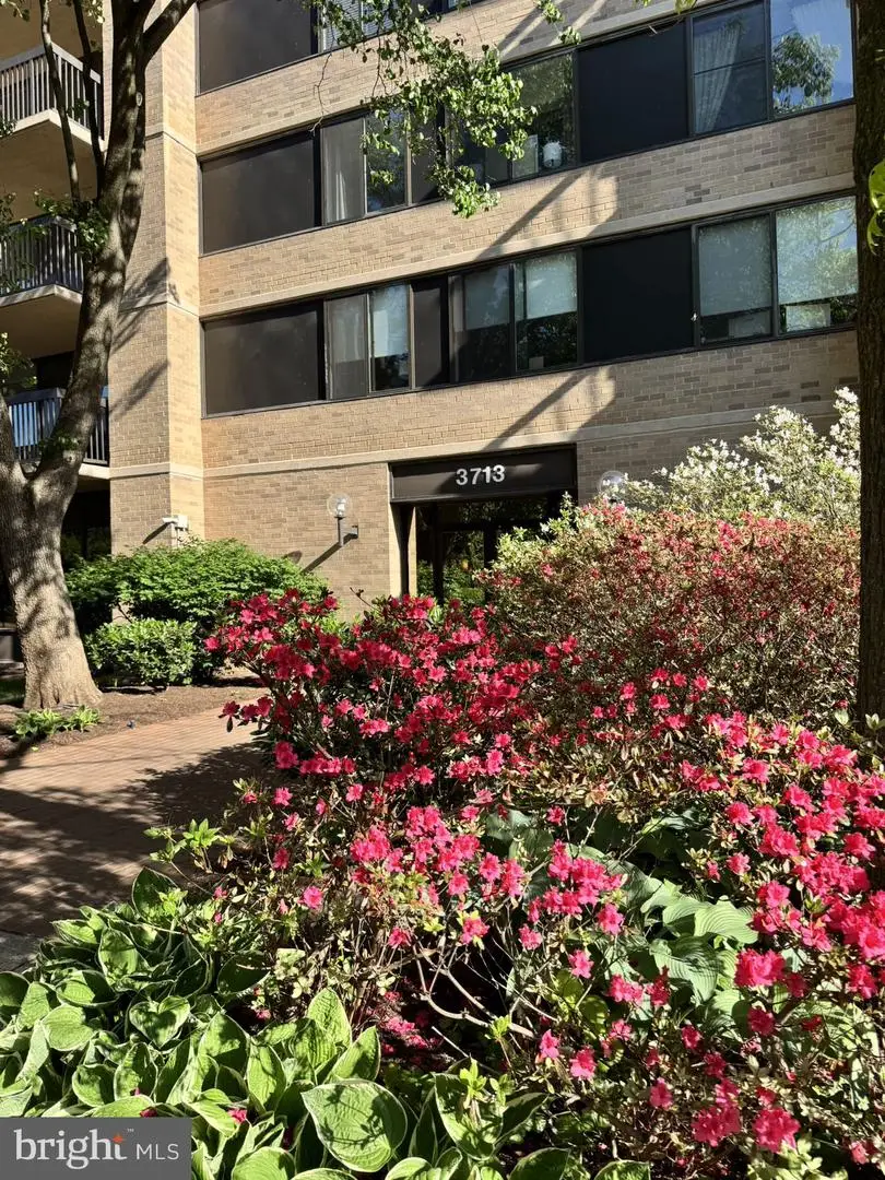 3713 S George Mason Dr #1005, Falls Church, VA 22041 - #3