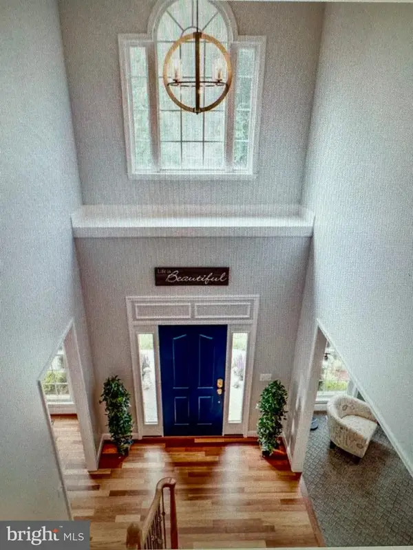 8310 Robey Ave, ANNANDALE, VA 22003