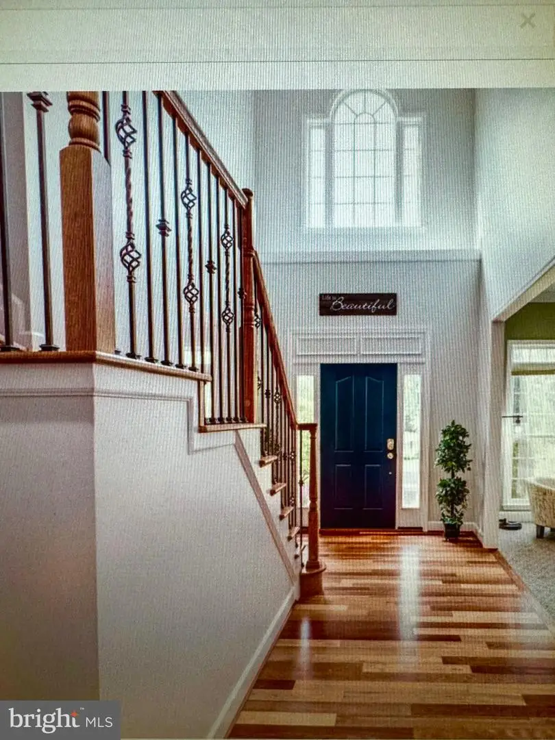 8310 Robey Ave, Annandale, VA 22003 - #3