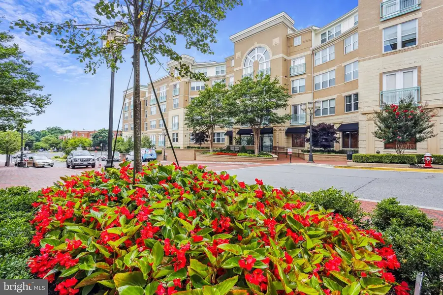 12000 Market St #248, Reston, VA 20190 - #3