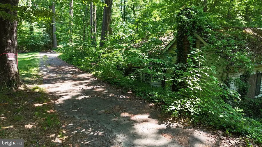 6579 Braddock Rd, Alexandria, VA 22312 - #3