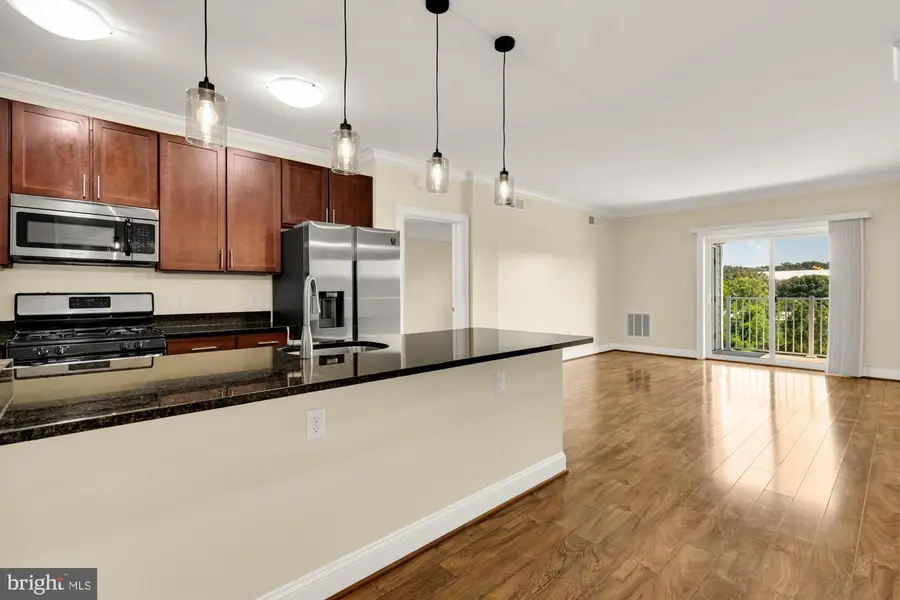 6301 Edsall Rd #507, Alexandria, VA 22312 - #3