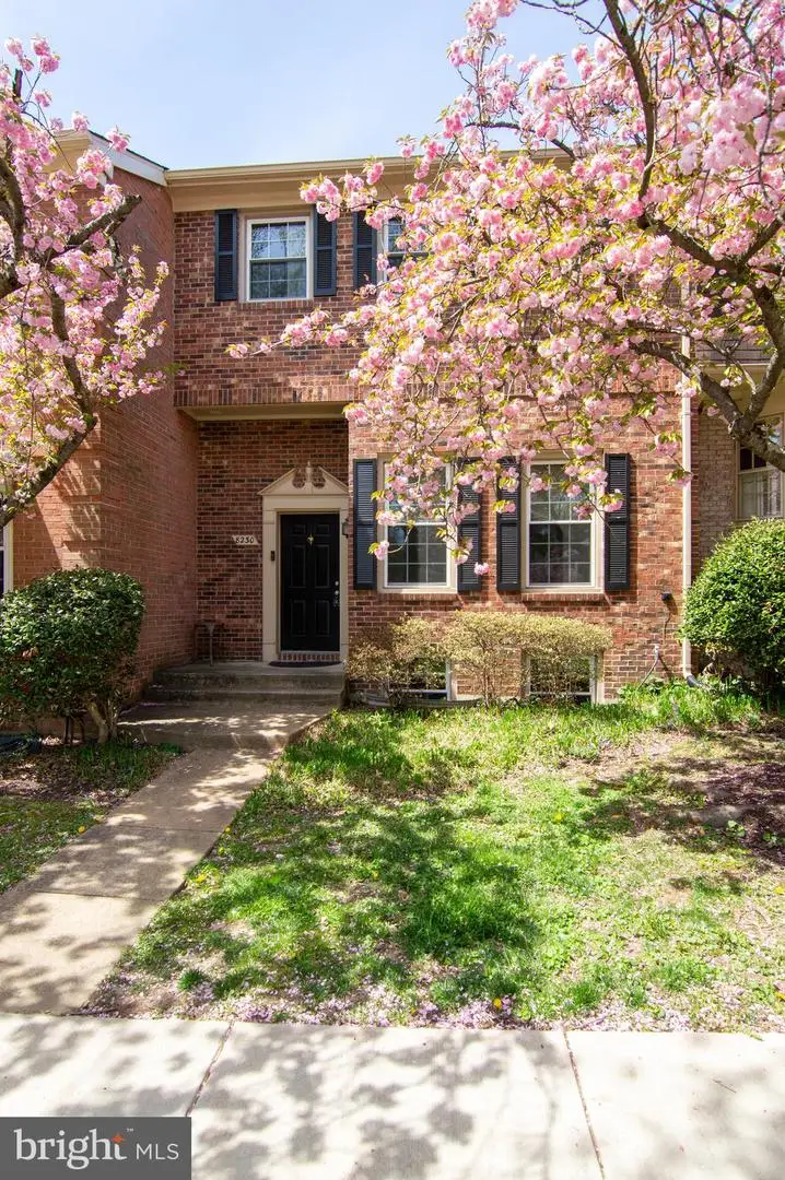 8230 La Faye Ct, Alexandria, VA 22306 - #1