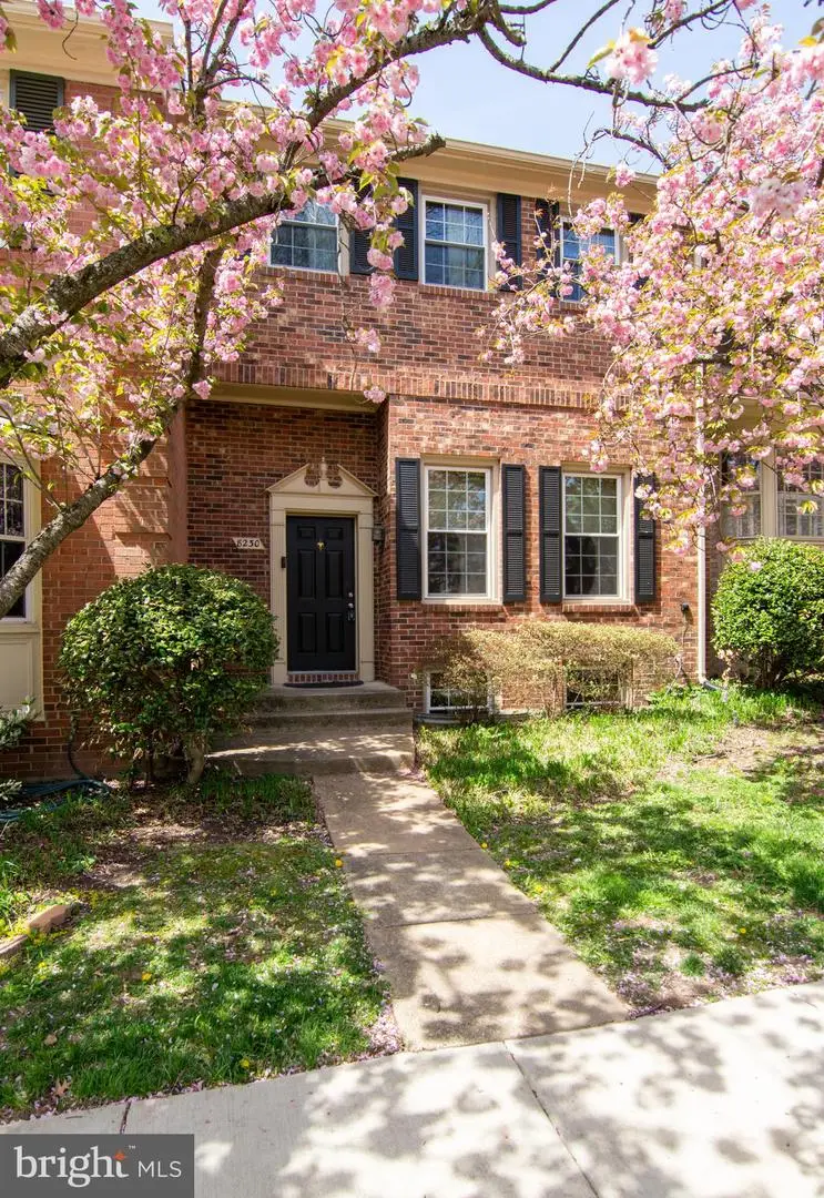 8230 La Faye Ct, Alexandria, VA 22306 - #2