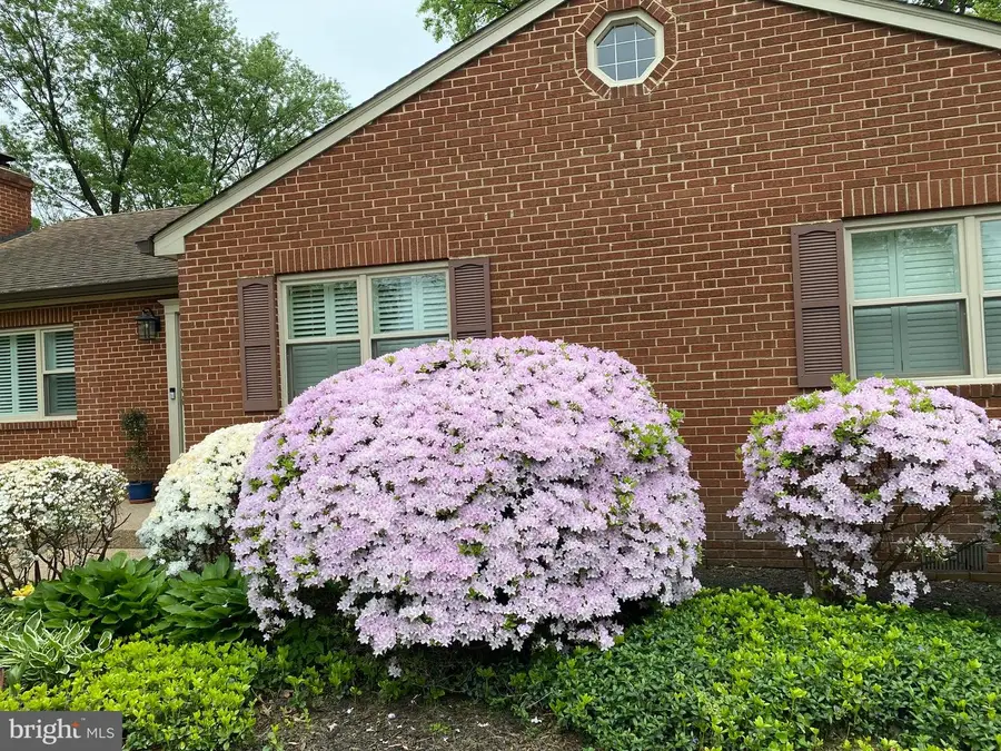 5515 Bradley Blvd, Alexandria, VA 22311 - #3
