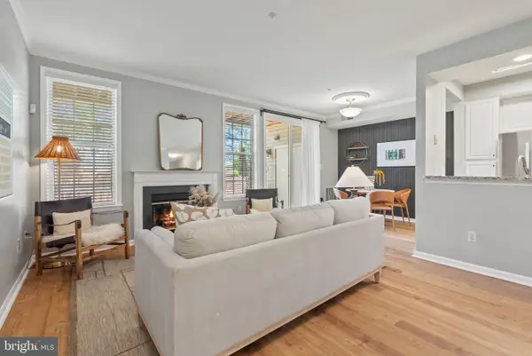 5901 Allborough Dr #170, ALEXANDRIA, VA 22315