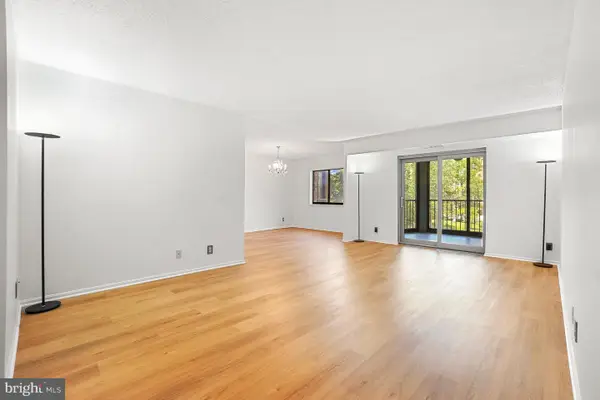 5902 Mount Eagle Dr #315, ALEXANDRIA, VA 22303