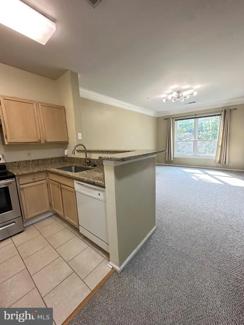 1580 Spring Gate Dr #4216, McLean, VA 22102 - #2