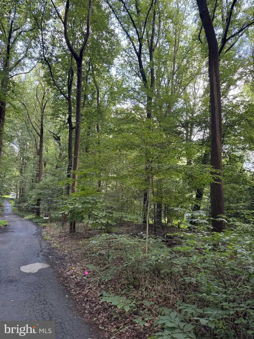 Sterling Montague Dr, Great Falls, VA 22066 - #2